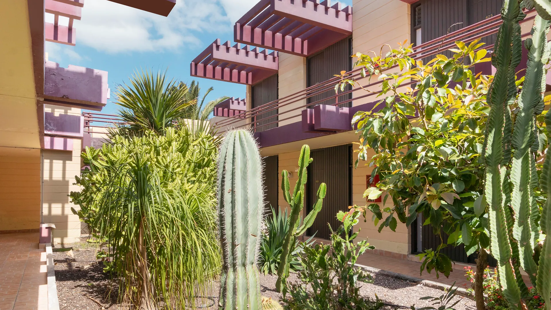 Hotel Palia Don Pedro Costa Del Silencio