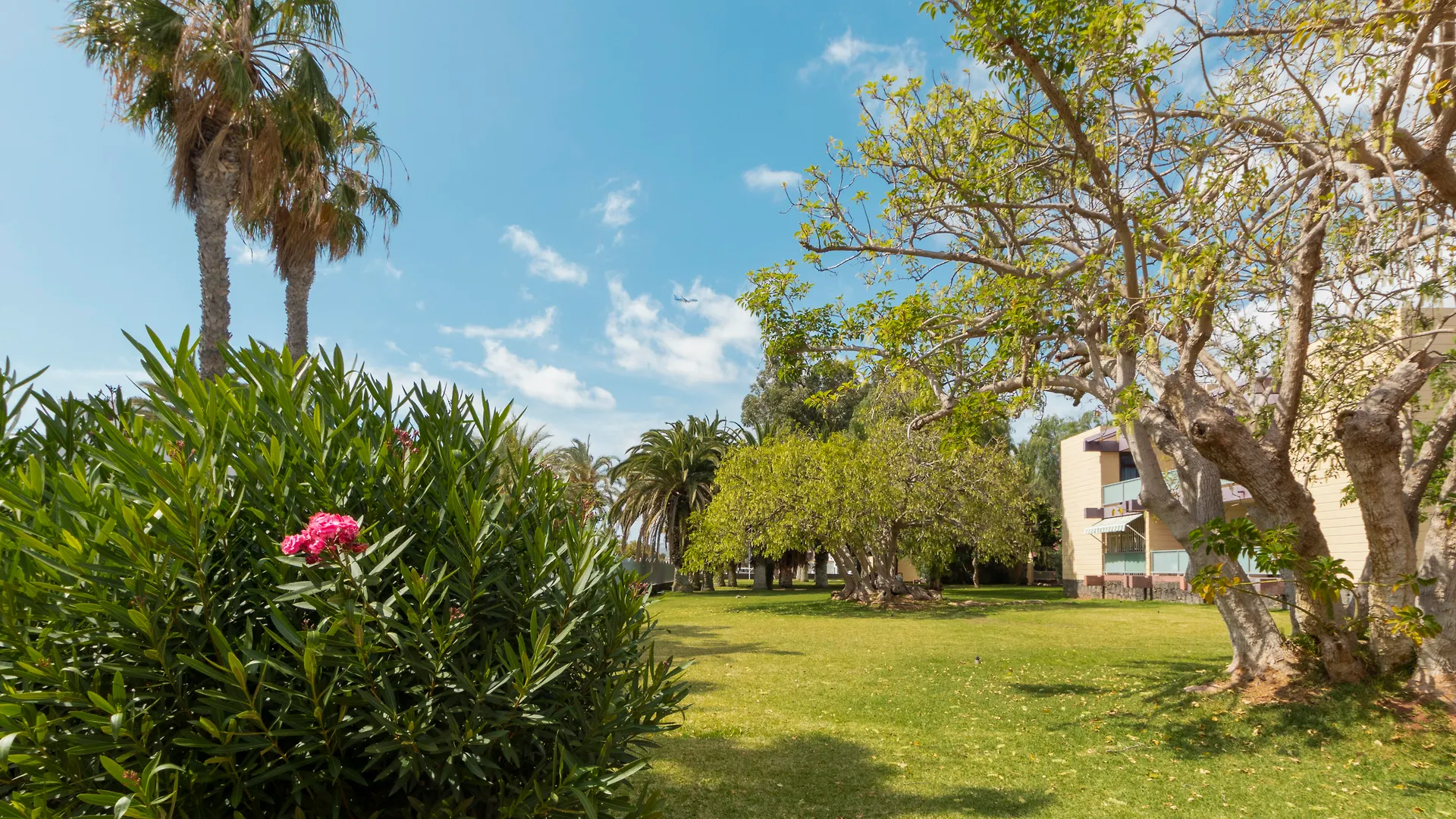 Hotel Palia Don Pedro Costa Del Silencio